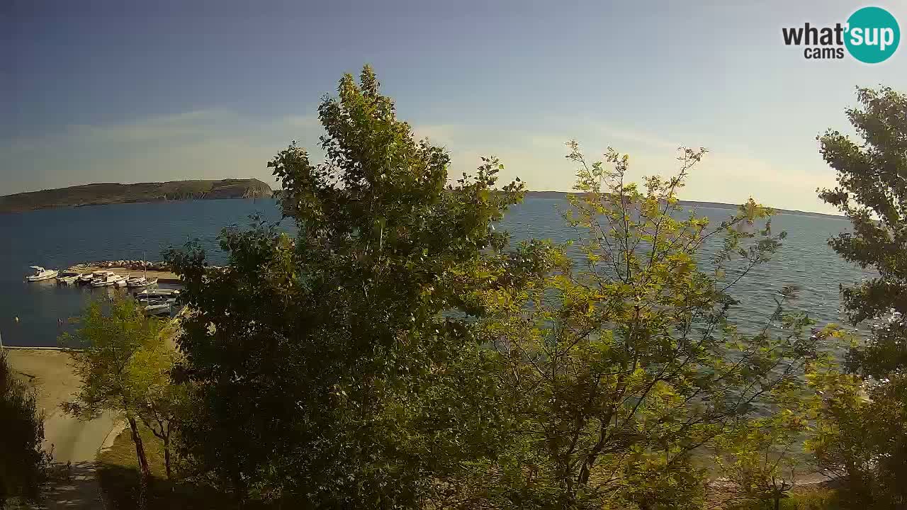 Camping Odmoree camera en vivo Ražanac – Dalmacia