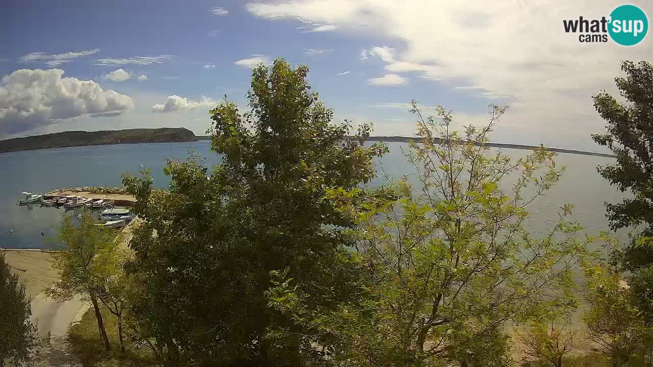 Camping Odmoree camera en vivo Ražanac – Dalmacia
