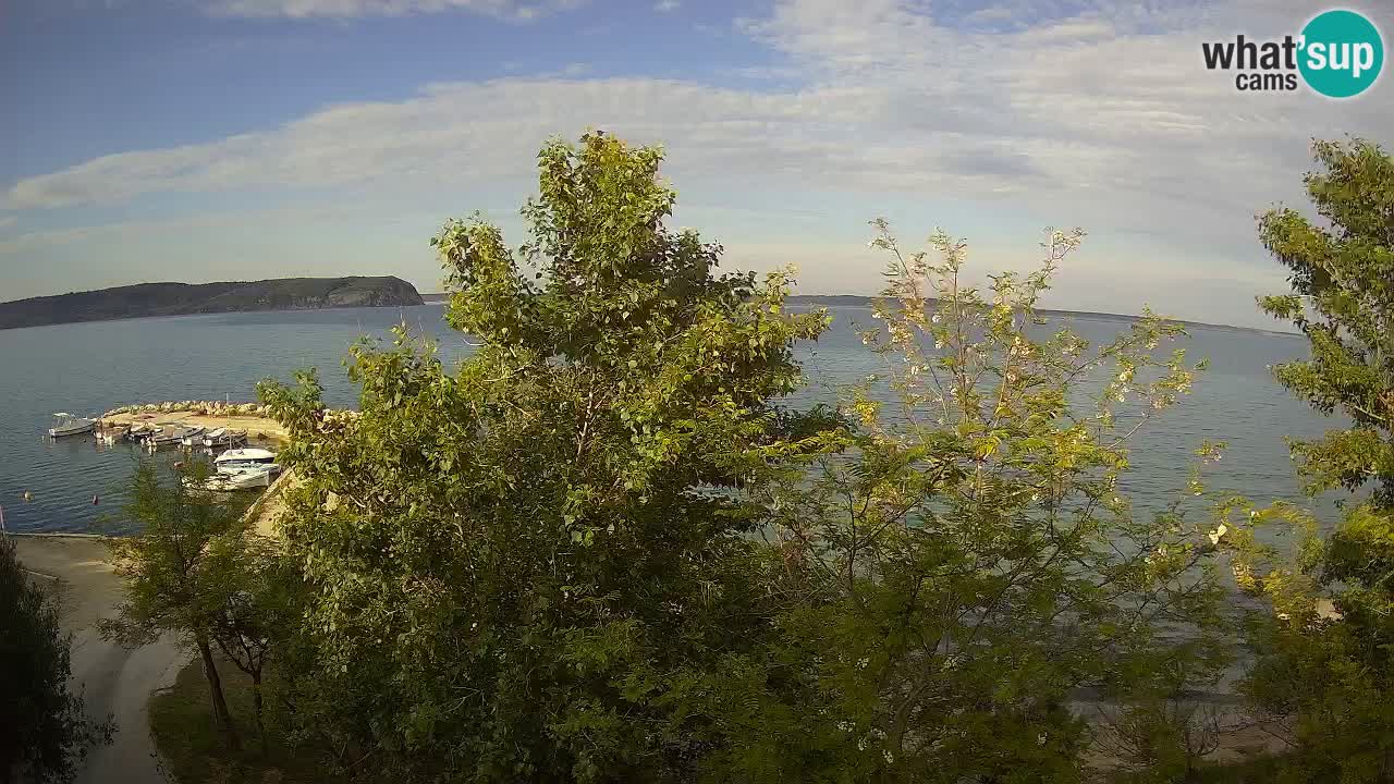 Camping Odmoree camera en vivo Ražanac – Dalmacia