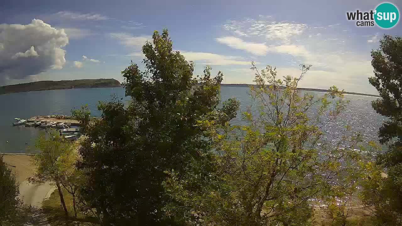 Camping Odmoree camera en vivo Ražanac – Dalmacia