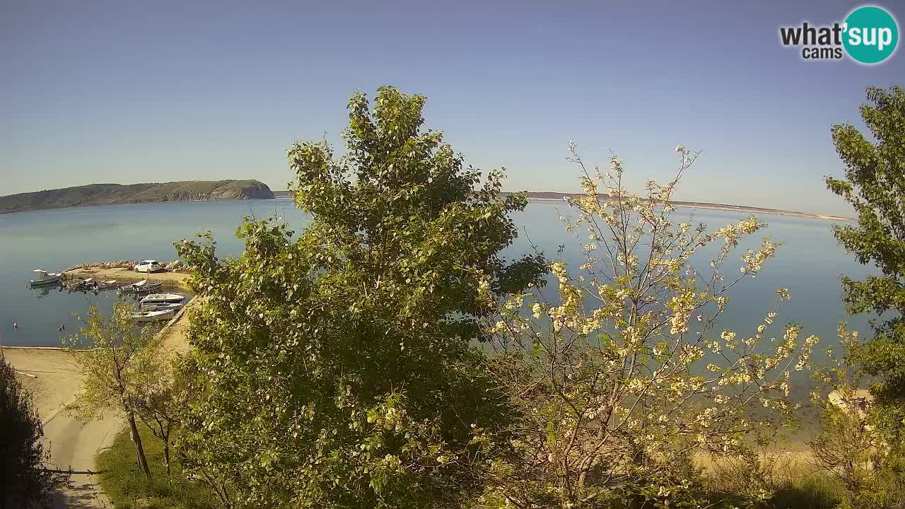 Camping Odmoree webcam Ražanac – Dalmazia