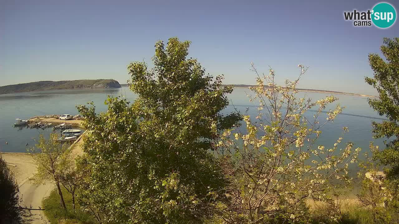 Camping Odmoree webcam Ražanac – Dalmatia