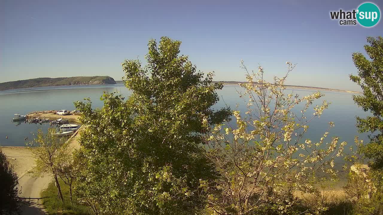 Camping Odmoree webcam Ražanac – Dalmatia
