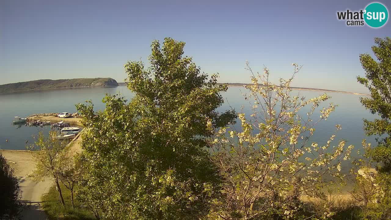 Camping Odmoree webcam Ražanac – Dalmazia