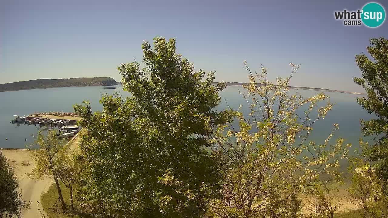 Camping Odmoree webcam Ražanac – Dalmatia