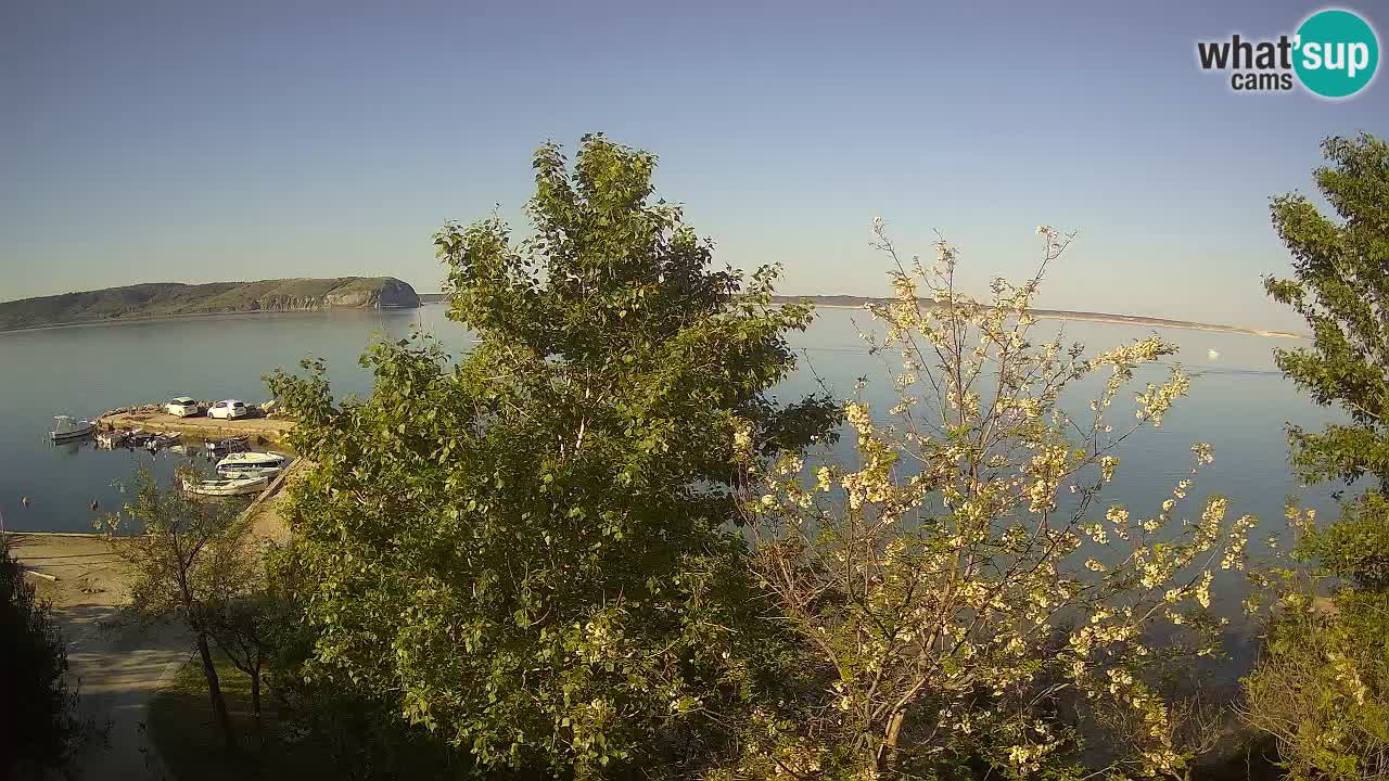 Camping Odmoree webcam Ražanac – Dalmazia
