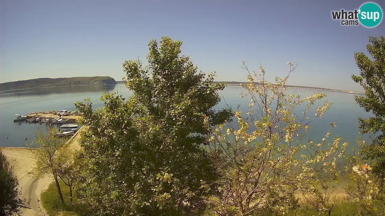 Camping Odmoree webcam Ražanac – Dalmatia
