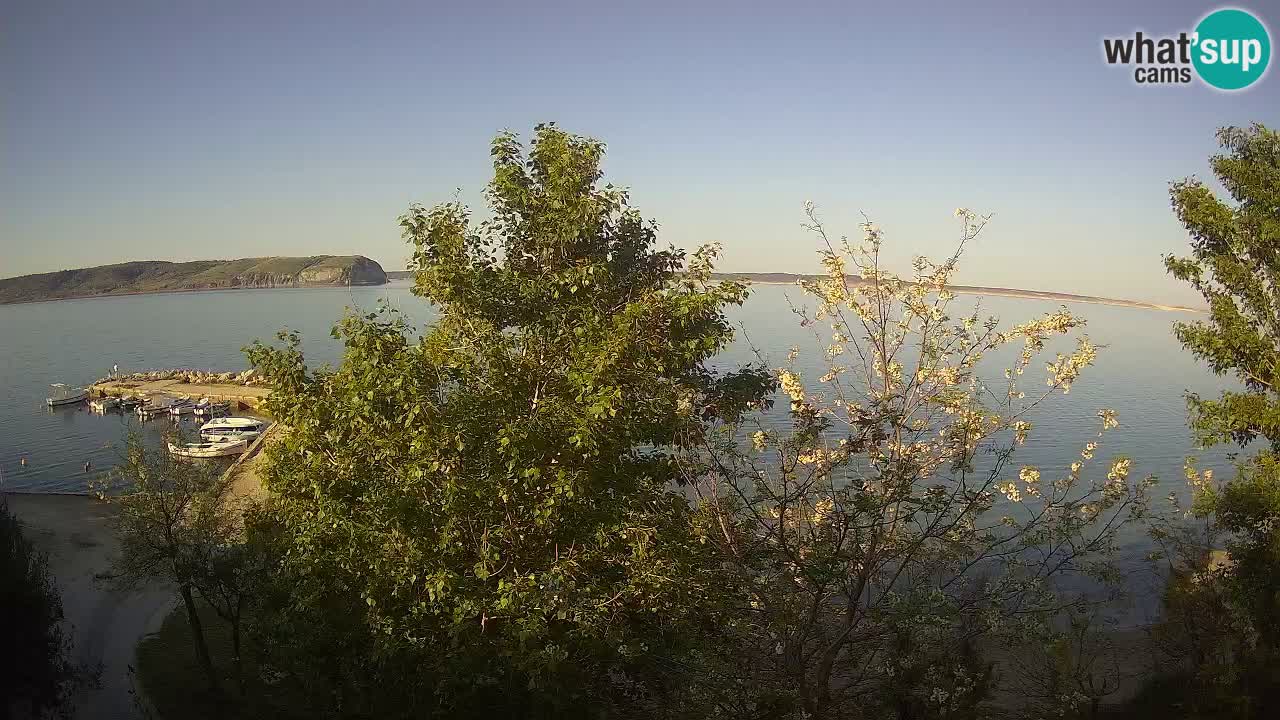 Camping Odmoree camera en vivo Ražanac – Dalmacia