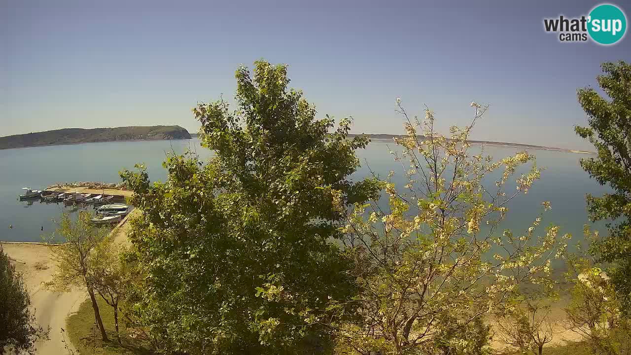 Camping Odmoree webcam Ražanac – Dalmazia