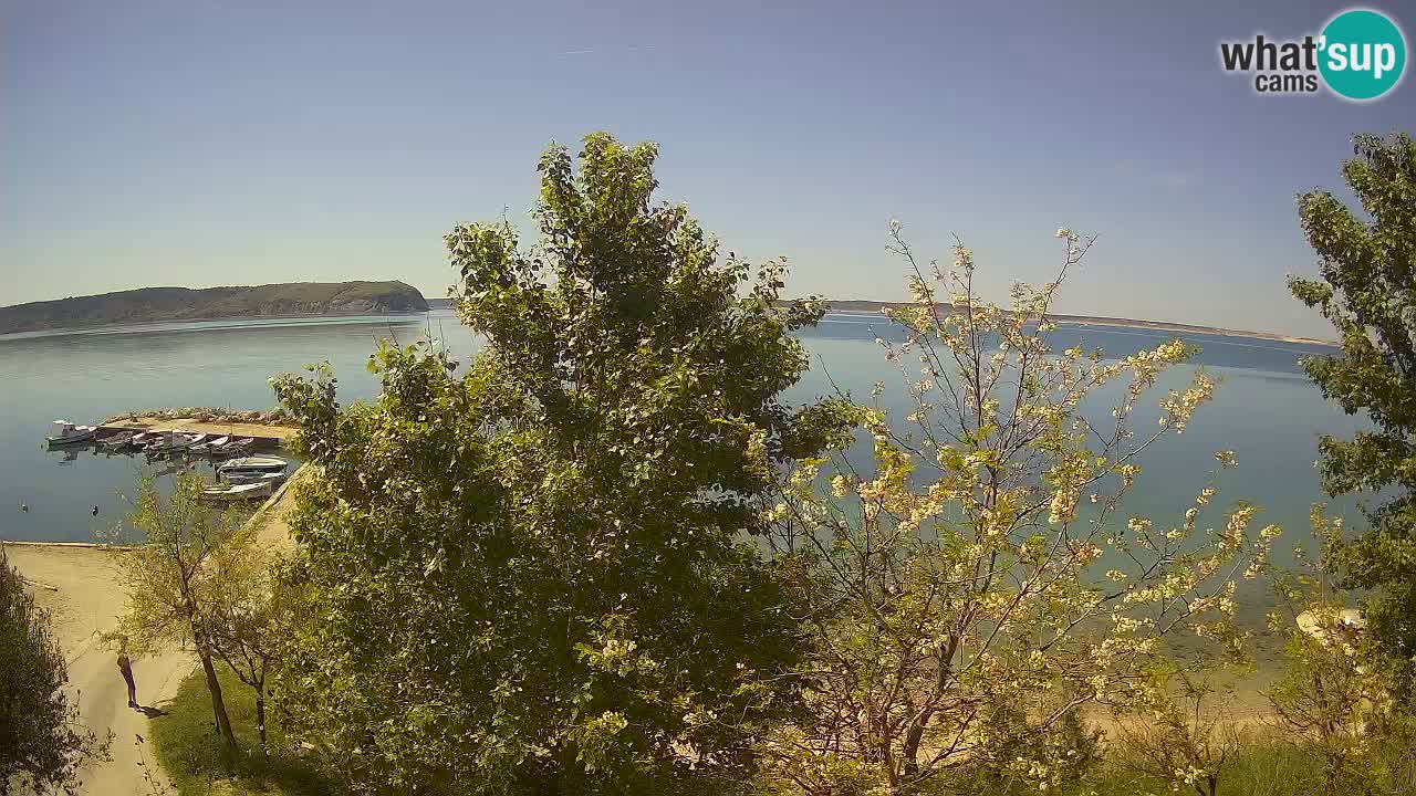 Camping Odmoree live cam Ražanac – Dalmatie