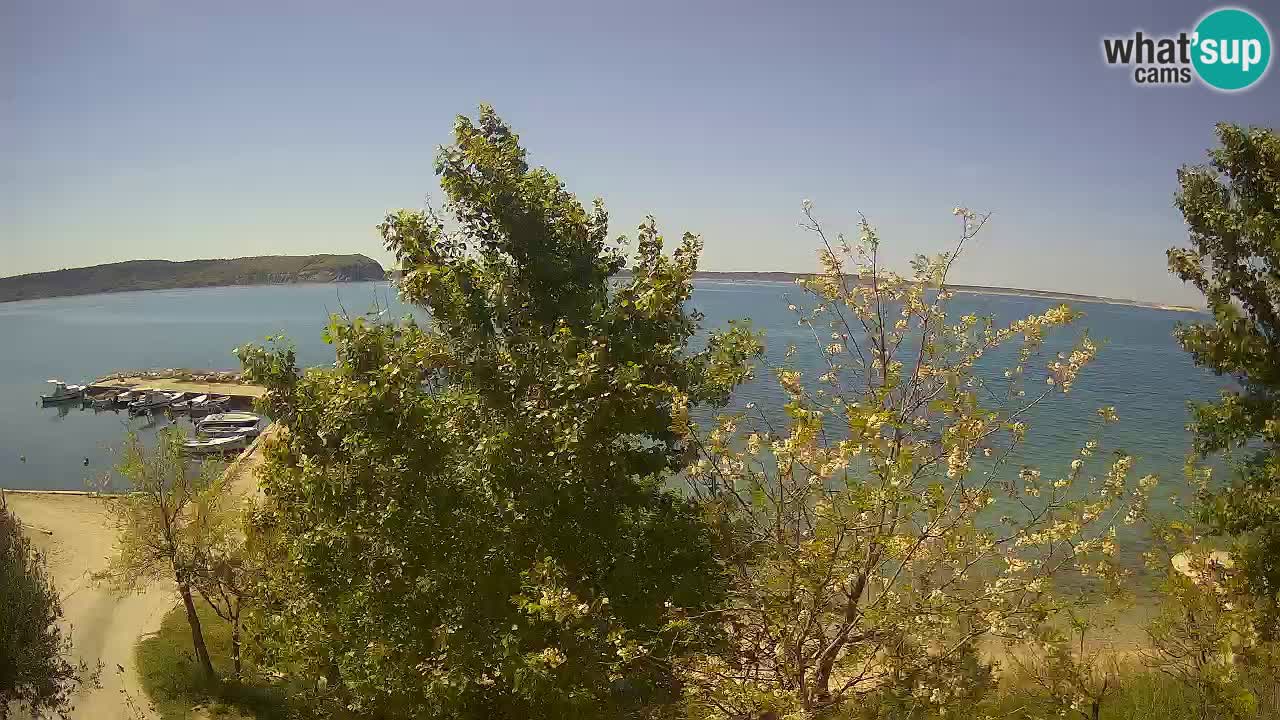 Camping Odmoree camera en vivo Ražanac – Dalmacia