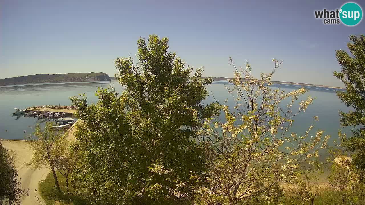 Camping Odmoree web kamera Ražanac – Dalmacija
