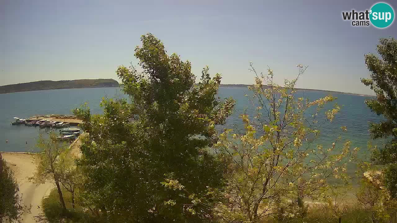 Camping Odmoree camera en vivo Ražanac – Dalmacia