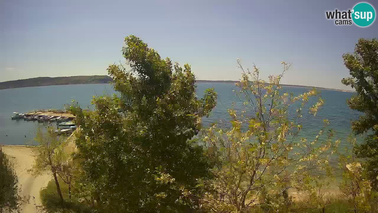 Camping Odmoree live webcam Ražanac – Dalmatien