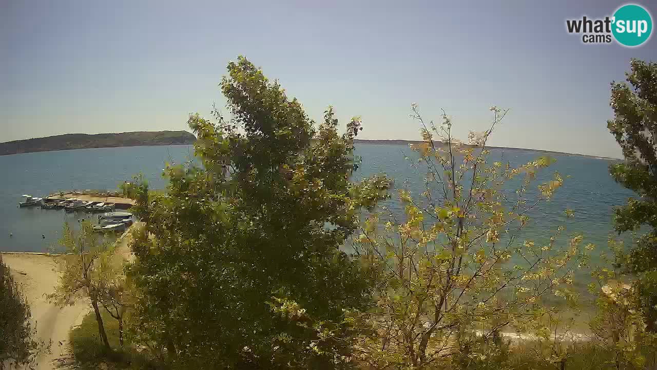 Camping Odmoree camera en vivo Ražanac – Dalmacia