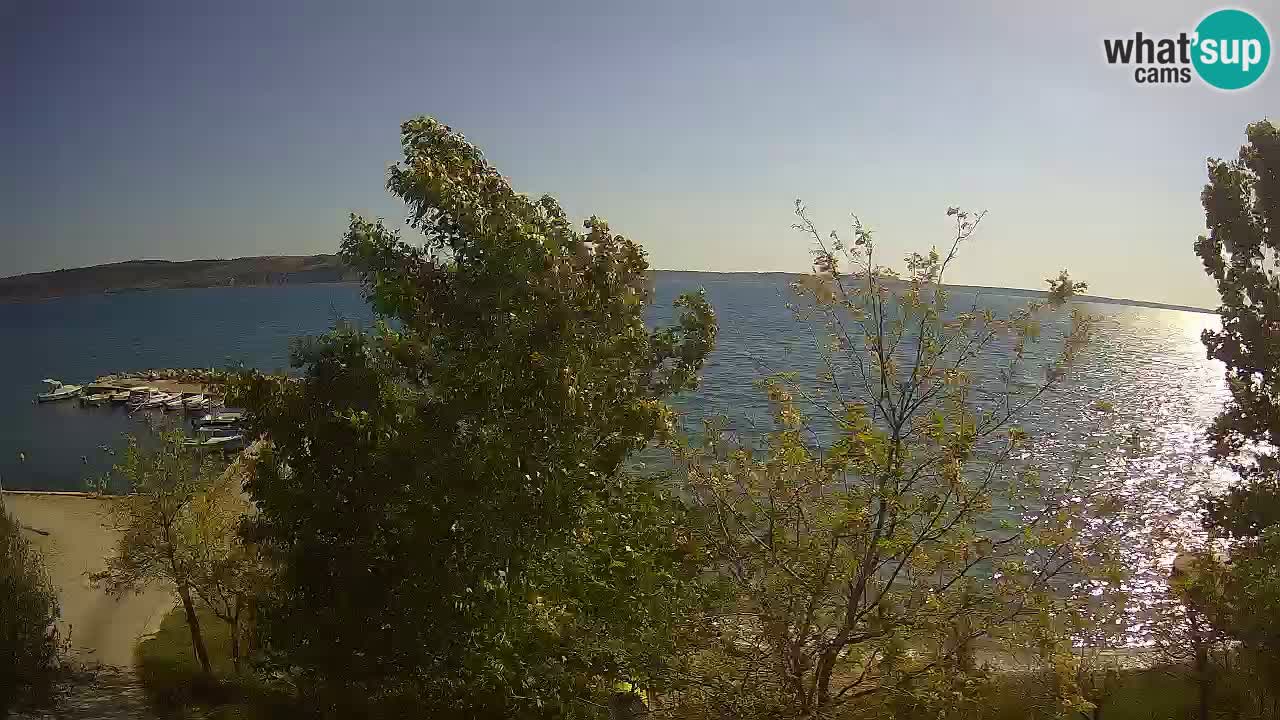 Camping Odmoree camera en vivo Ražanac – Dalmacia