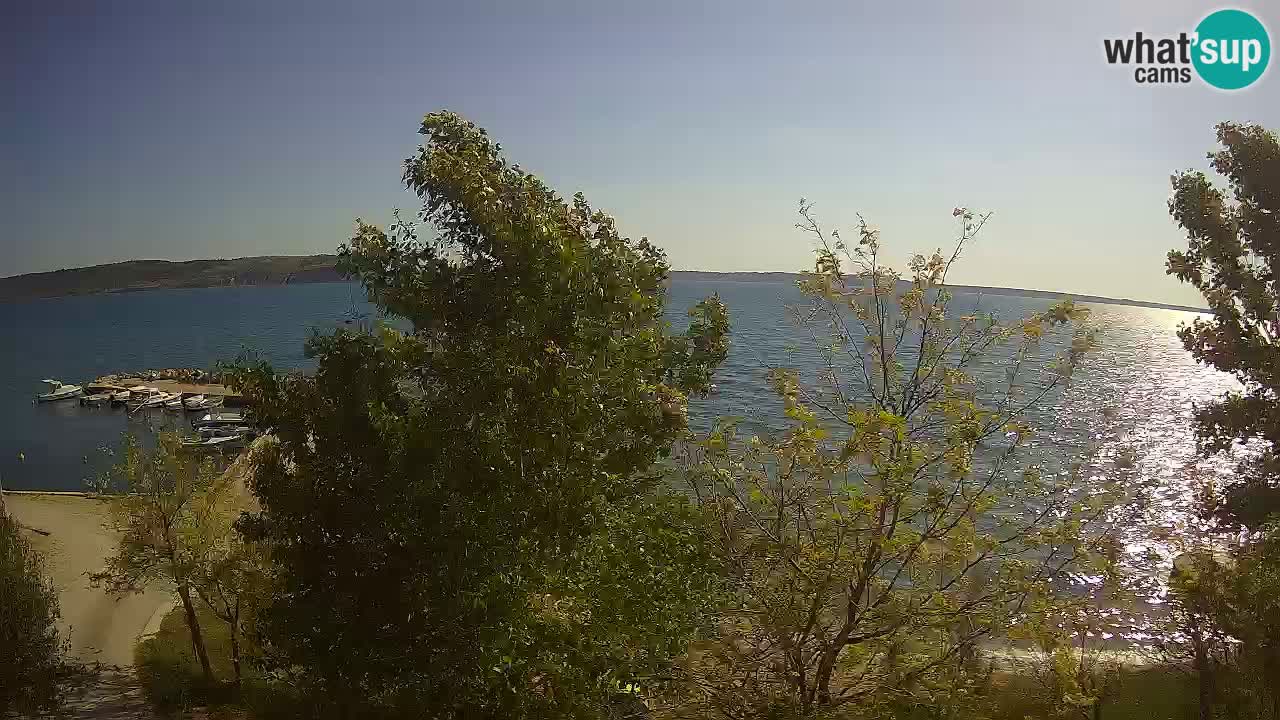 Kamp Odmoree spletna kamera Ražanac – Dalmacija