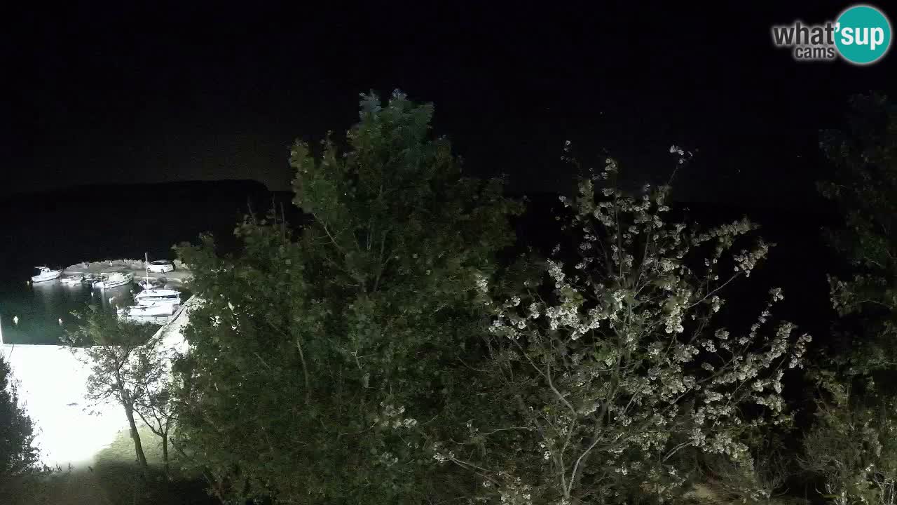 Camping Odmoree webcam Ražanac – Dalmatia