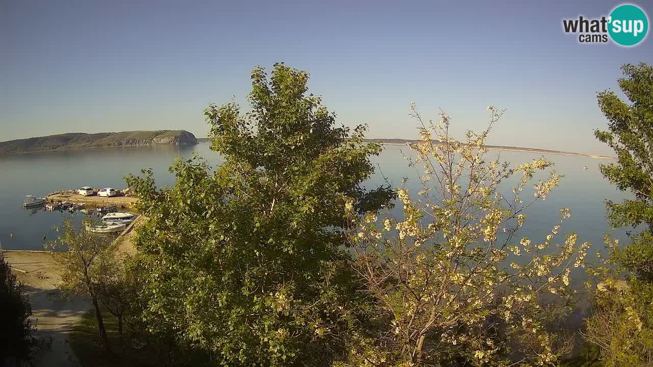 Camping Odmoree webcam Ražanac – Dalmatia