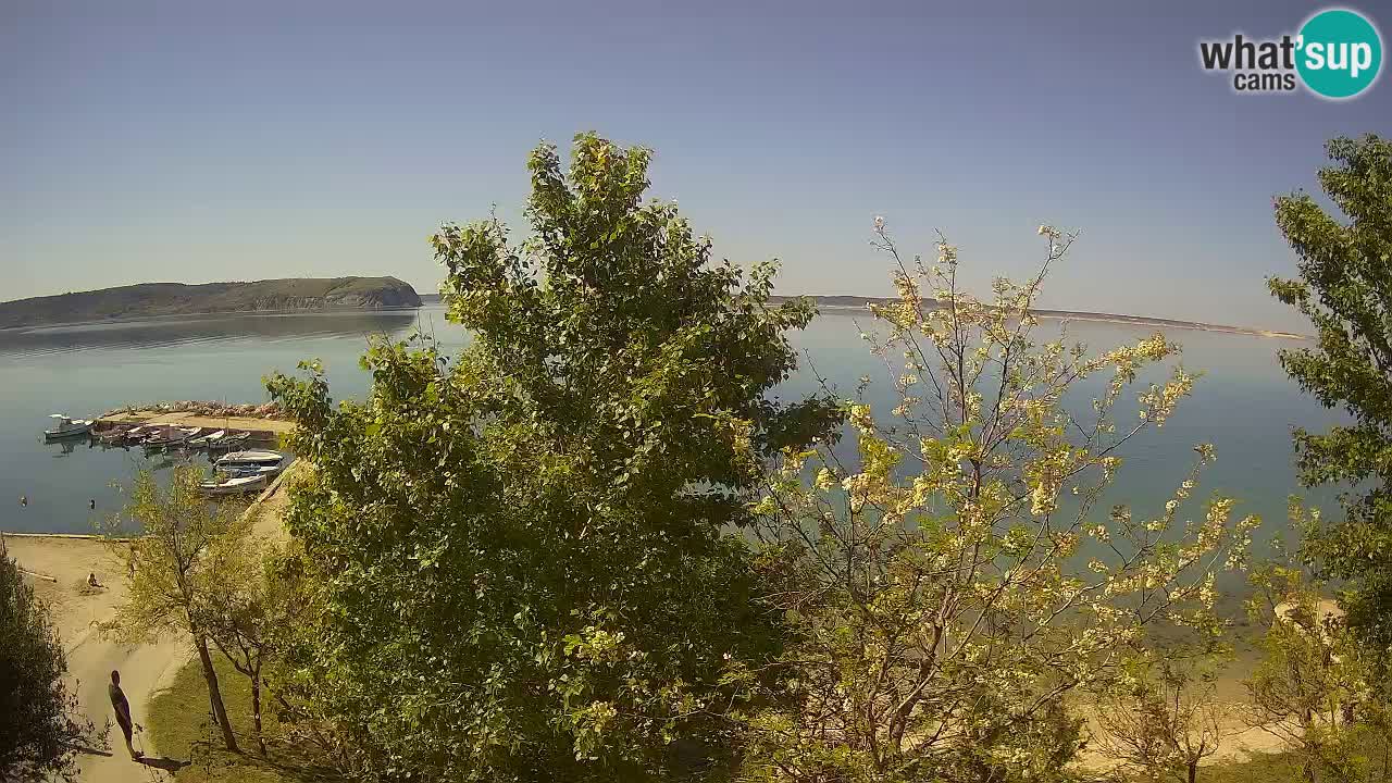 Camping Odmoree live cam Ražanac – Dalmatie