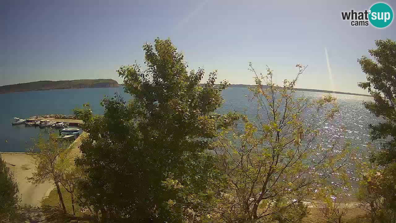 Camping Odmoree web kamera Ražanac – Dalmacija