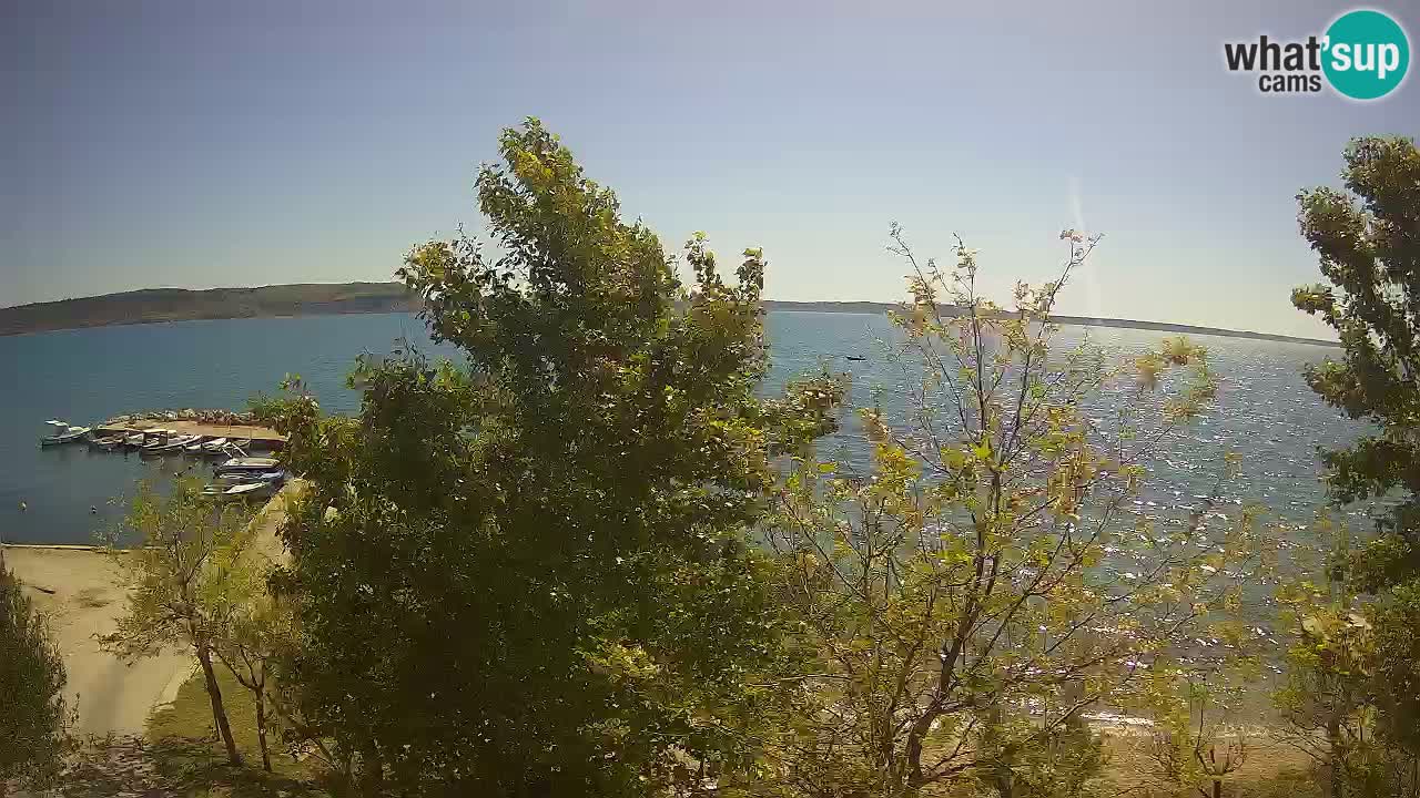 Camping Odmoree camera en vivo Ražanac – Dalmacia