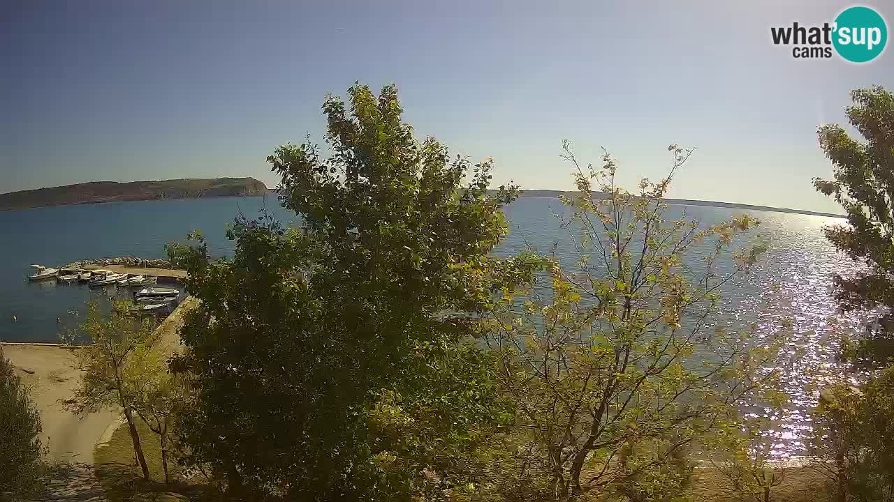 Kamp Odmoree spletna kamera Ražanac – Dalmacija