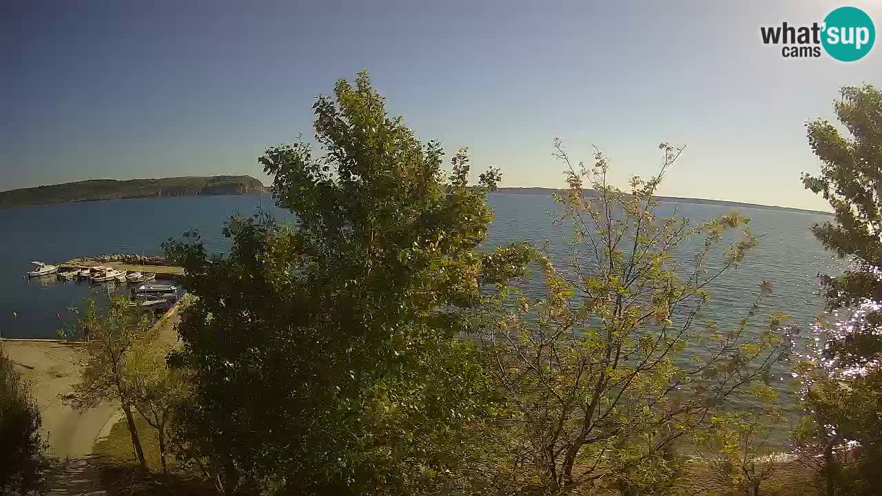 Camping Odmoree webcam Ražanac – Dalmazia