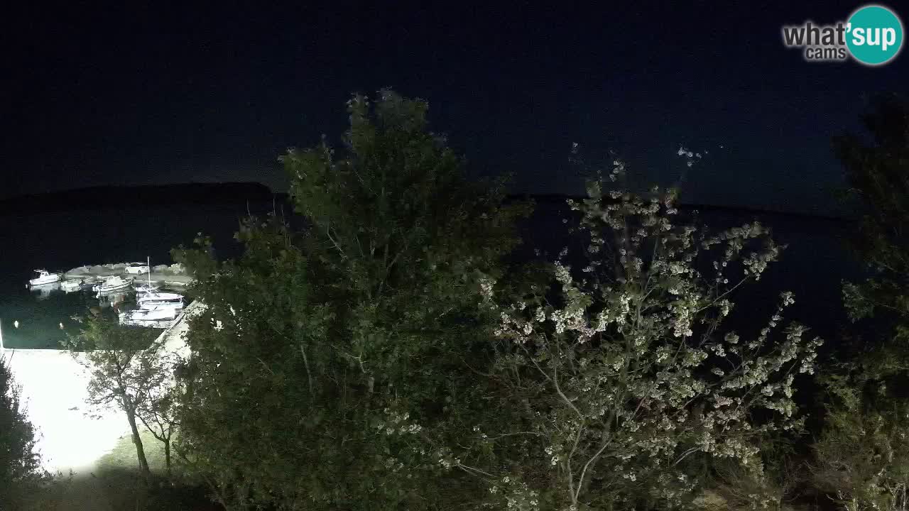 Camping Odmoree webcam Ražanac – Dalmazia