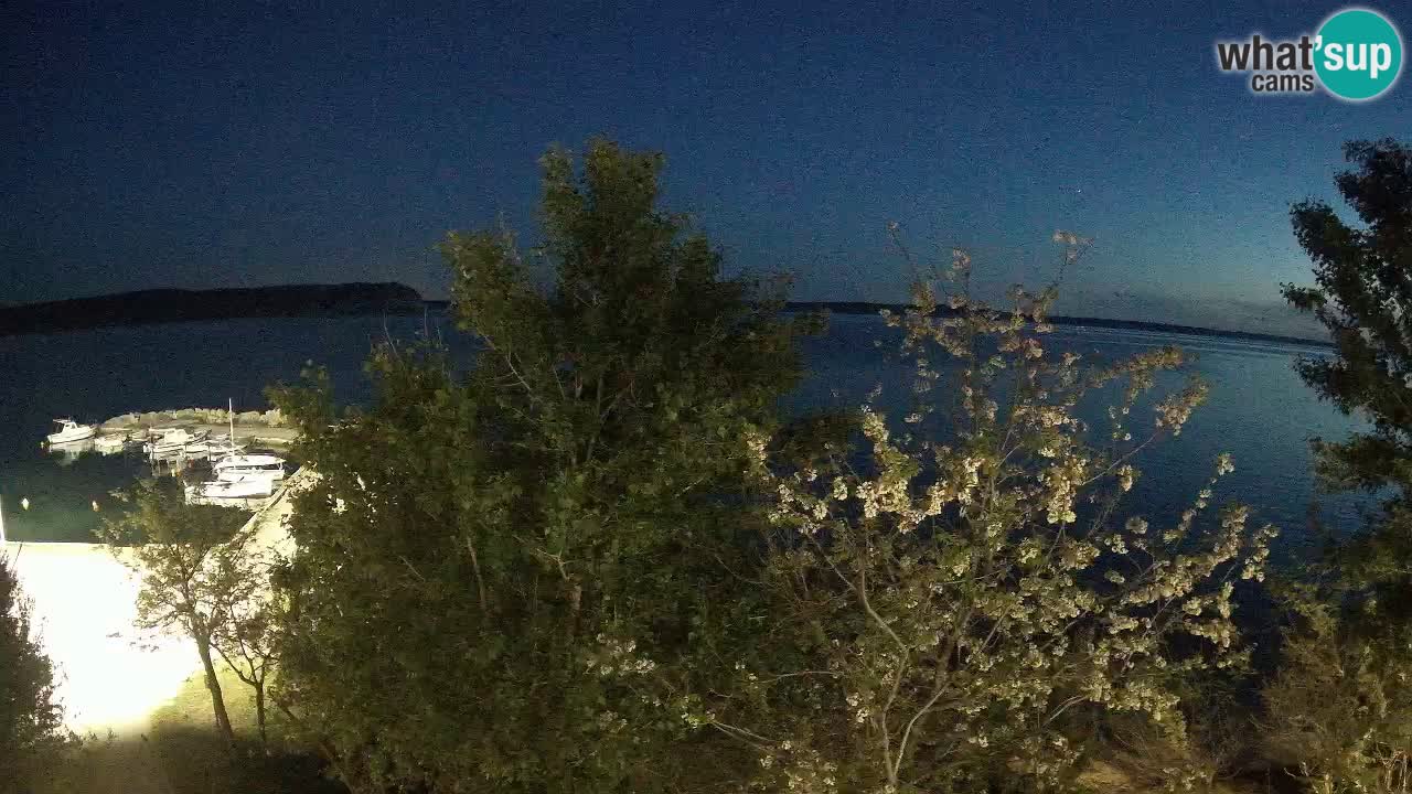 Camping Odmoree camera en vivo Ražanac – Dalmacia