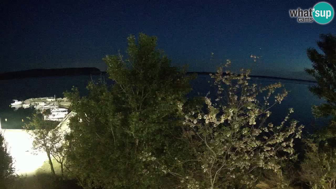 Camping Odmoree camera en vivo Ražanac – Dalmacia