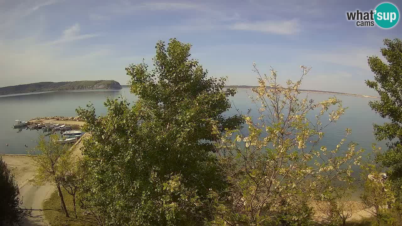 Camping Odmoree webcam Ražanac – Dalmatia
