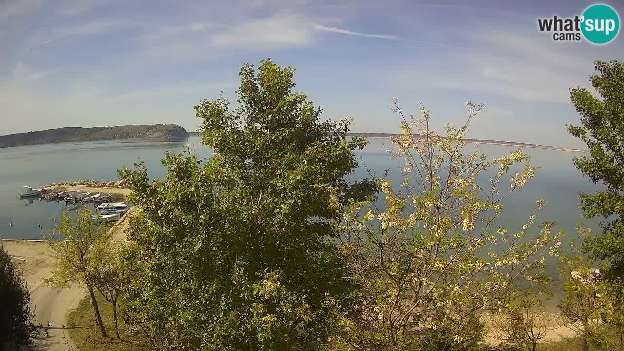 Camping Odmoree webcam Ražanac – Dalmatia
