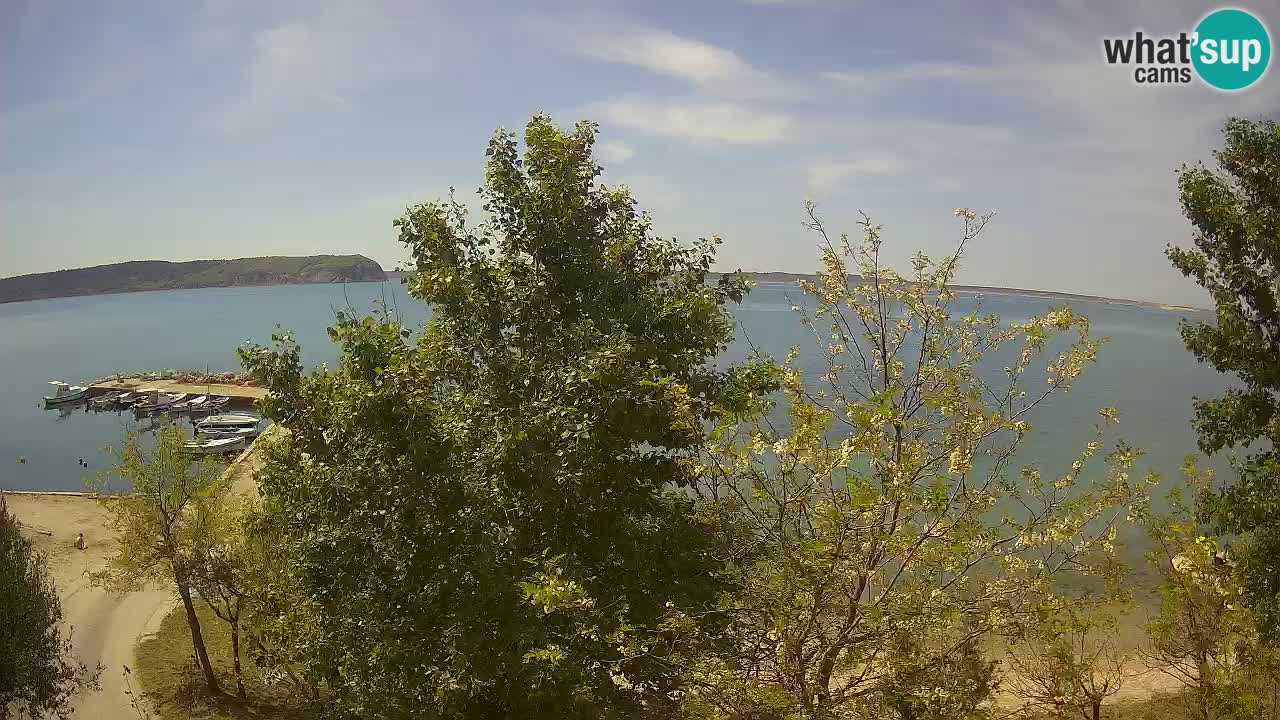 Camping Odmoree camera en vivo Ražanac – Dalmacia