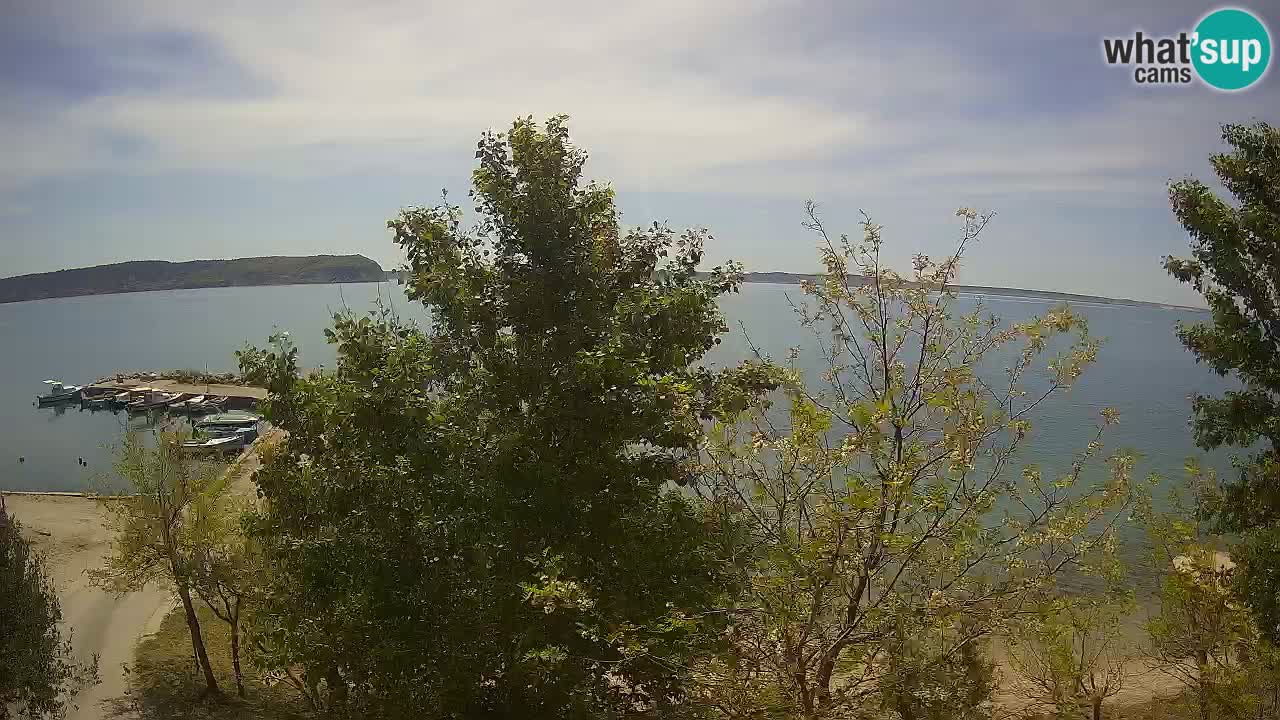 Camping Odmoree camera en vivo Ražanac – Dalmacia