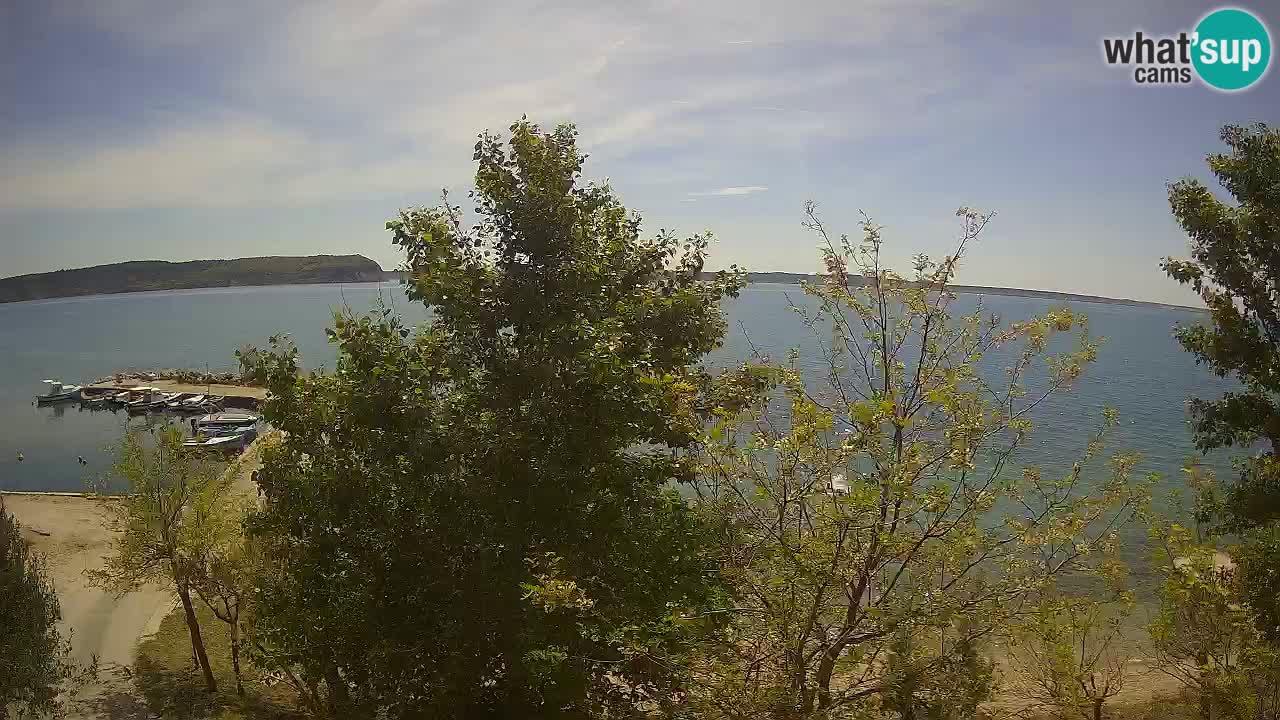 Camping Odmoree live cam Ražanac – Dalmatie
