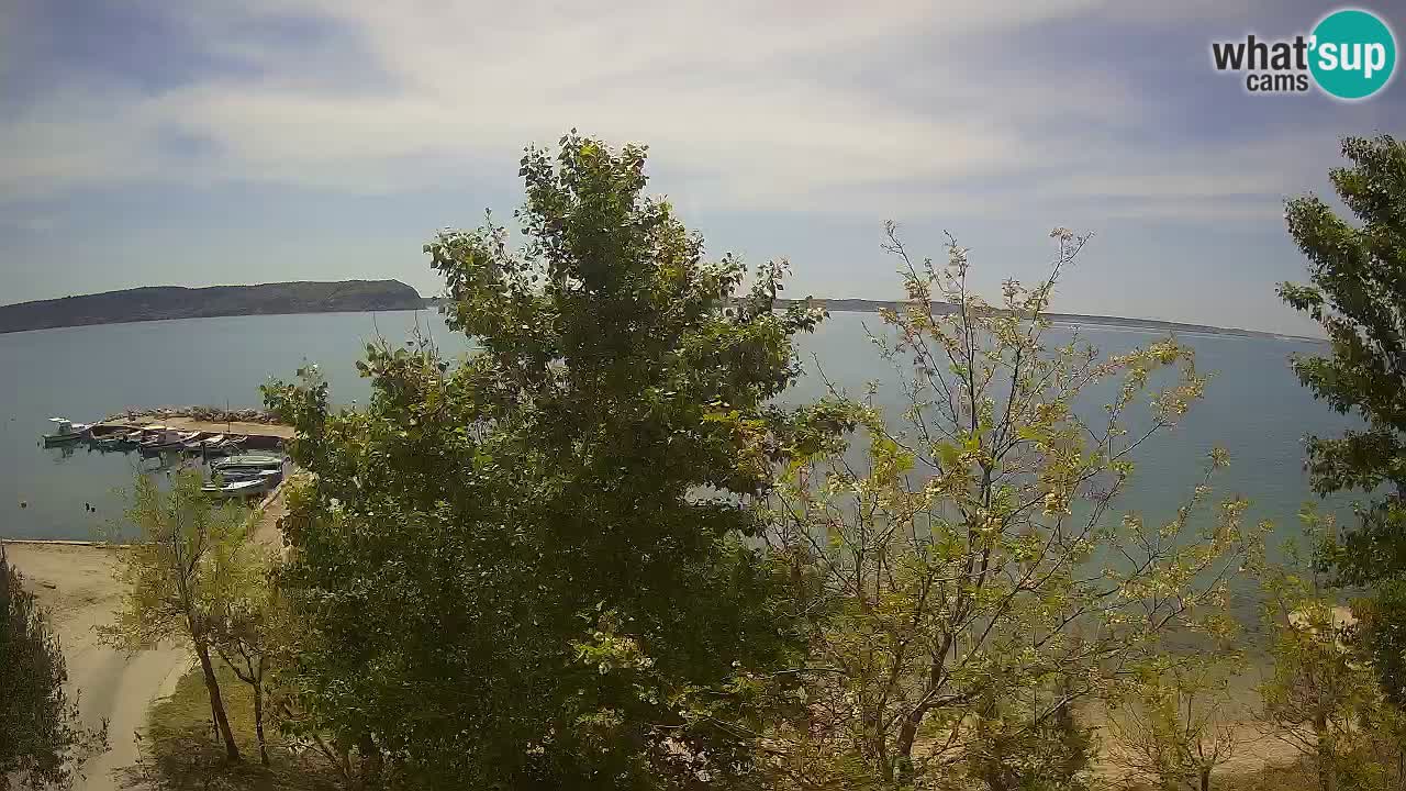 Camping Odmoree live cam Ražanac – Dalmatie