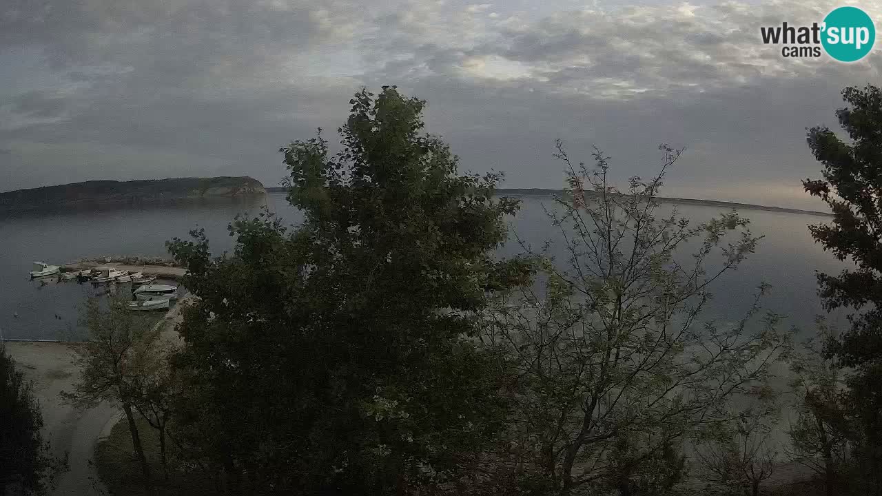 Camping Odmoree camera en vivo Ražanac – Dalmacia