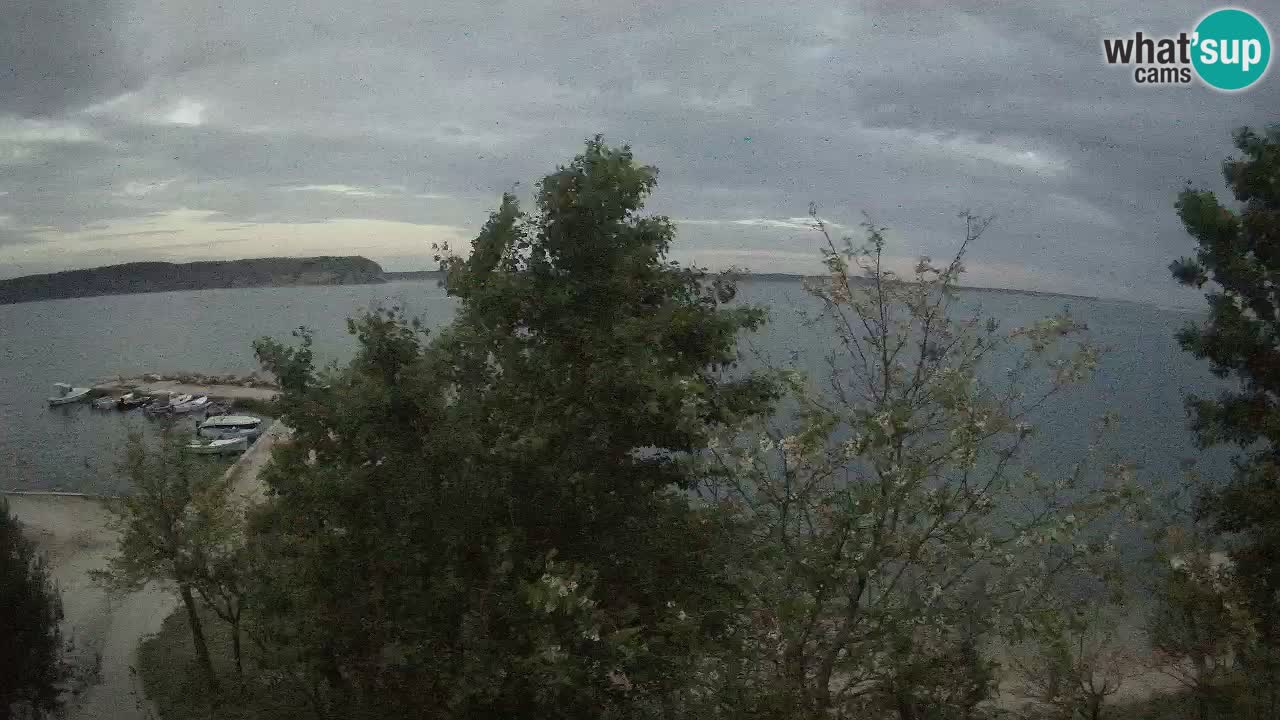 Camping Odmoree live cam Ražanac – Dalmatie