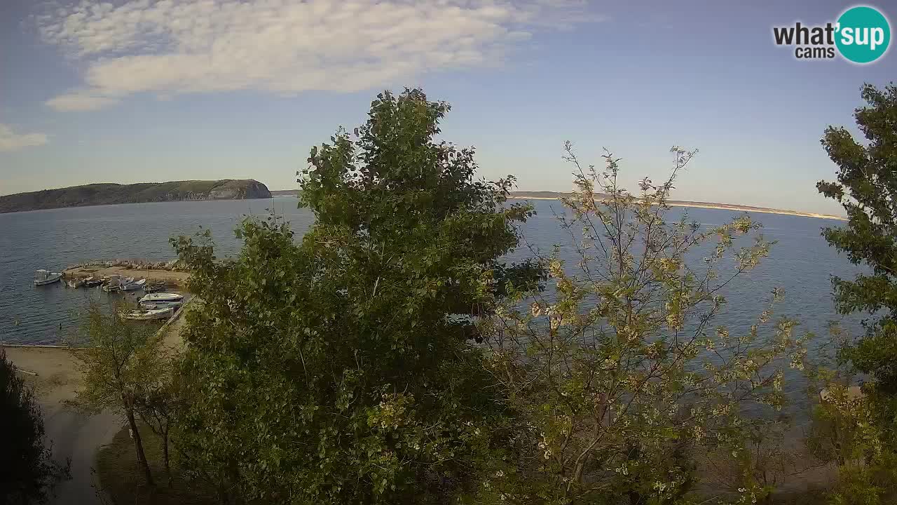 Camping Odmoree camera en vivo Ražanac – Dalmacia