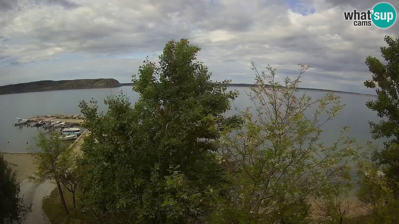Kamp Odmoree spletna kamera Ražanac – Dalmacija
