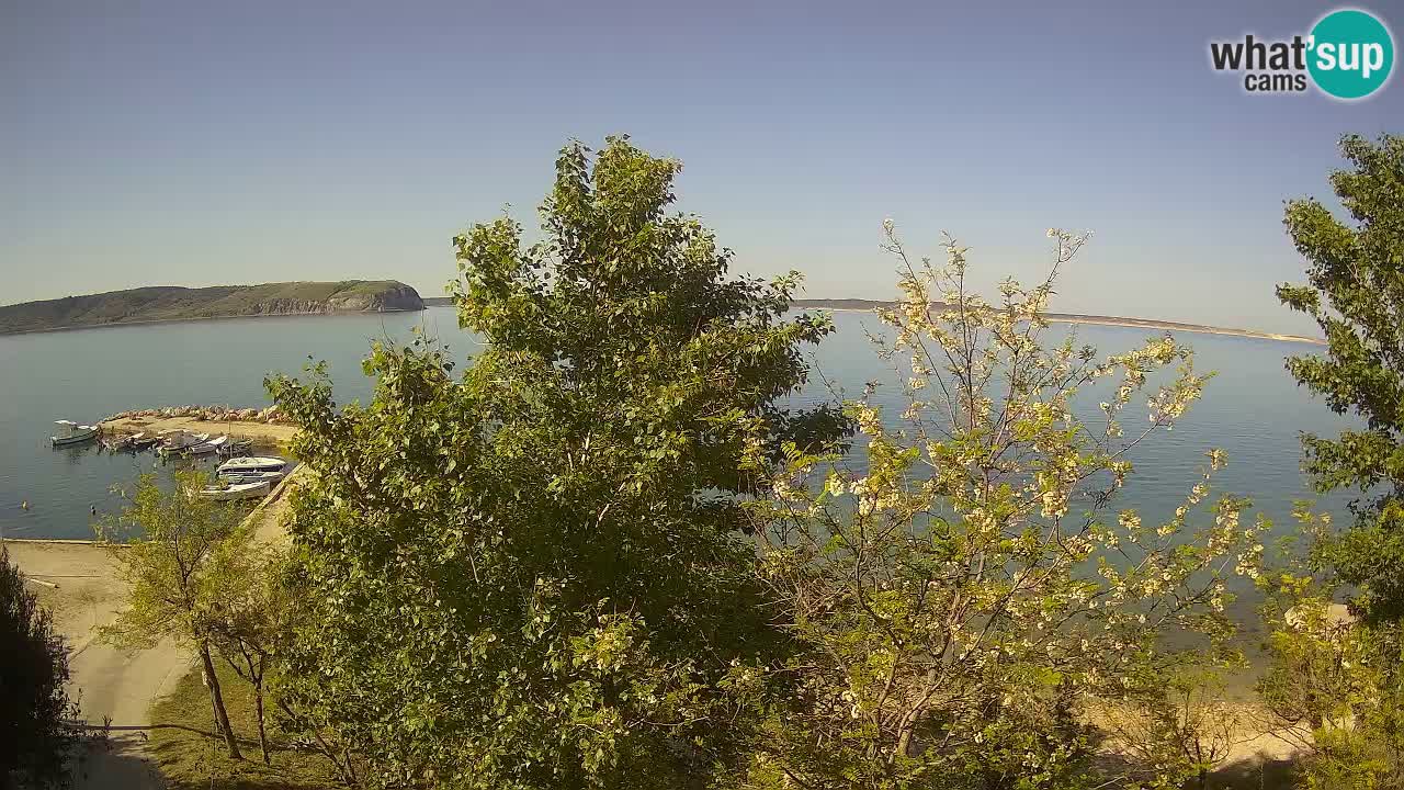 Camping Odmoree webcam Ražanac – Dalmazia