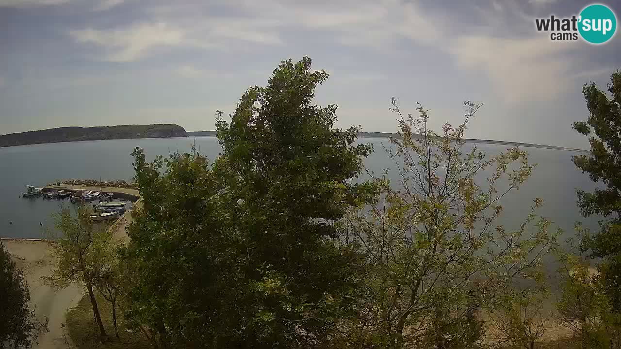 Camping Odmoree camera en vivo Ražanac – Dalmacia