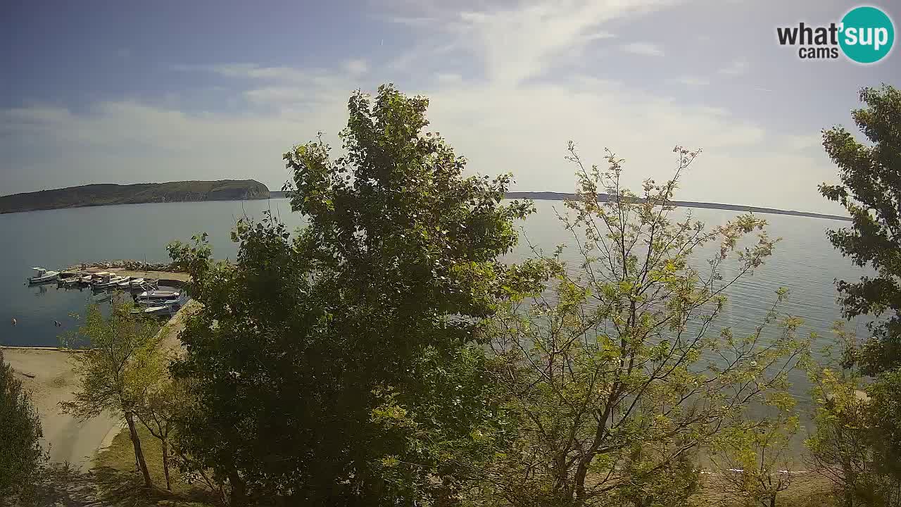 Camping Odmoree camera en vivo Ražanac – Dalmacia