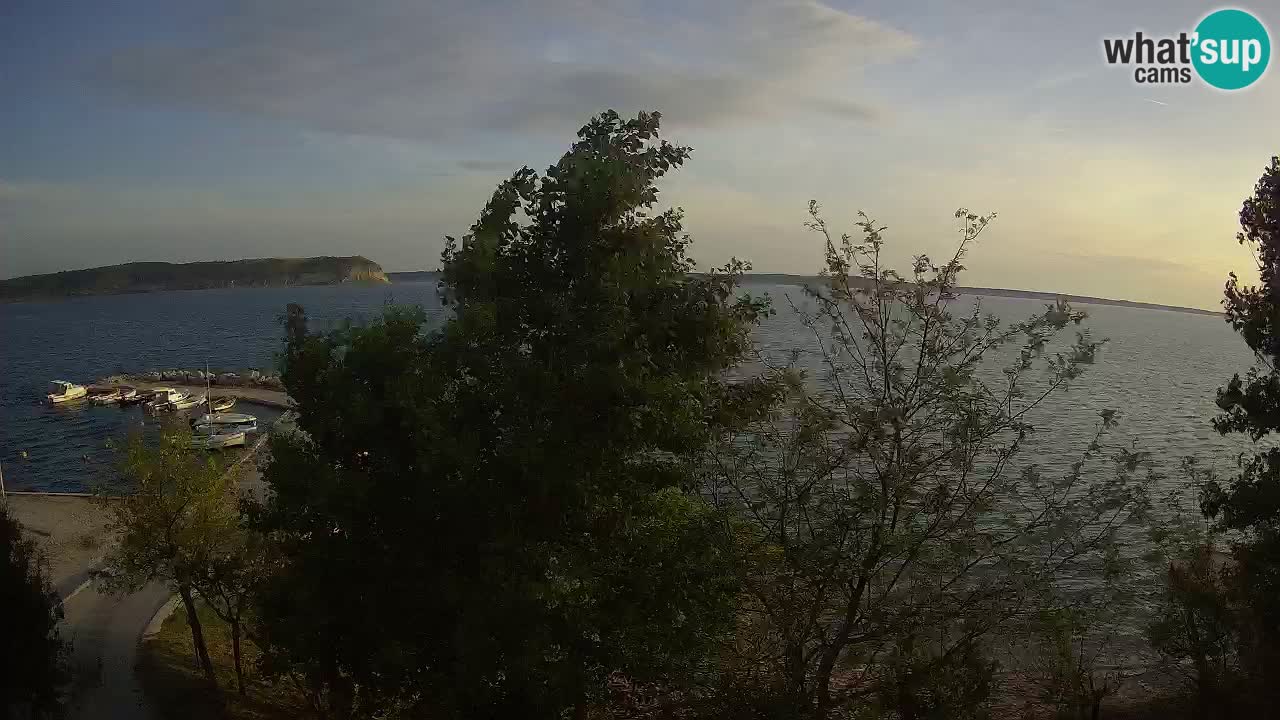 Camping Odmoree camera en vivo Ražanac – Dalmacia