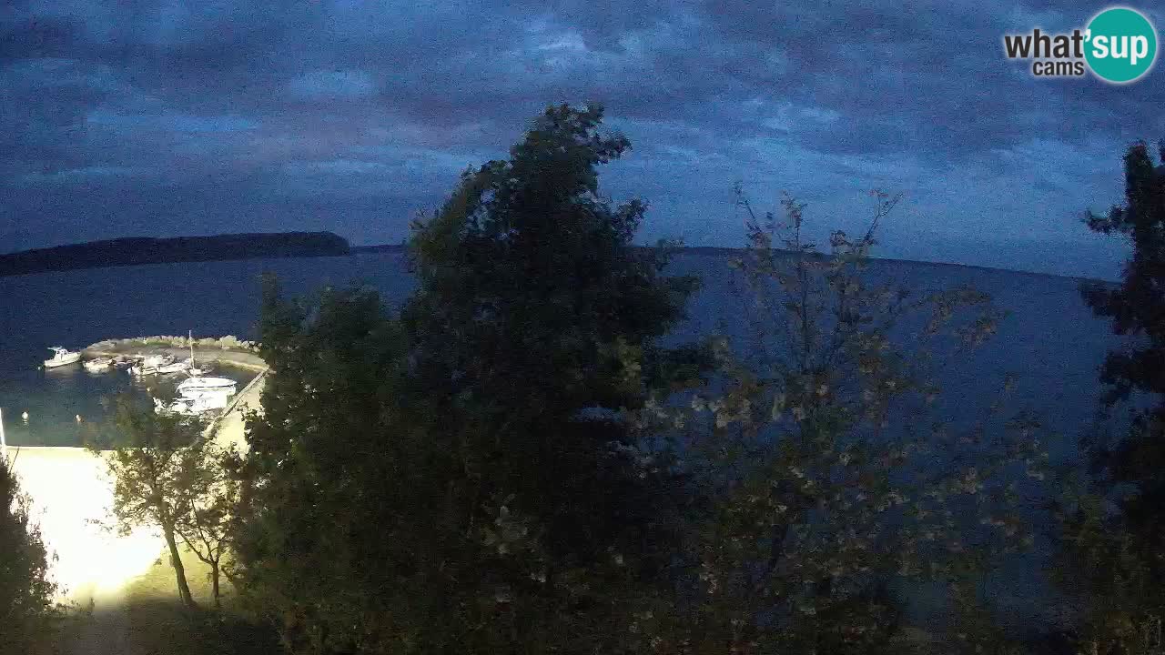 Kamp Odmoree spletna kamera Ražanac – Dalmacija