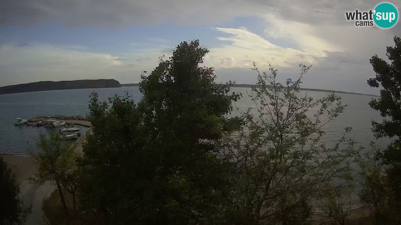 Kamp Odmoree spletna kamera Ražanac – Dalmacija