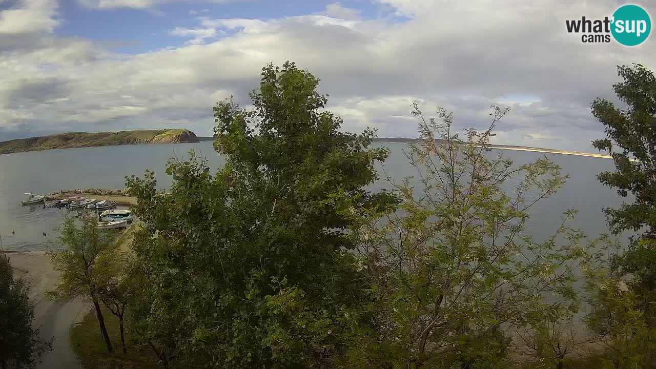 Camping Odmoree camera en vivo Ražanac – Dalmacia