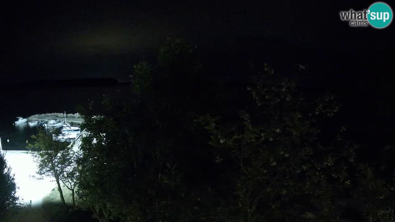 Kamp Odmoree spletna kamera Ražanac – Dalmacija