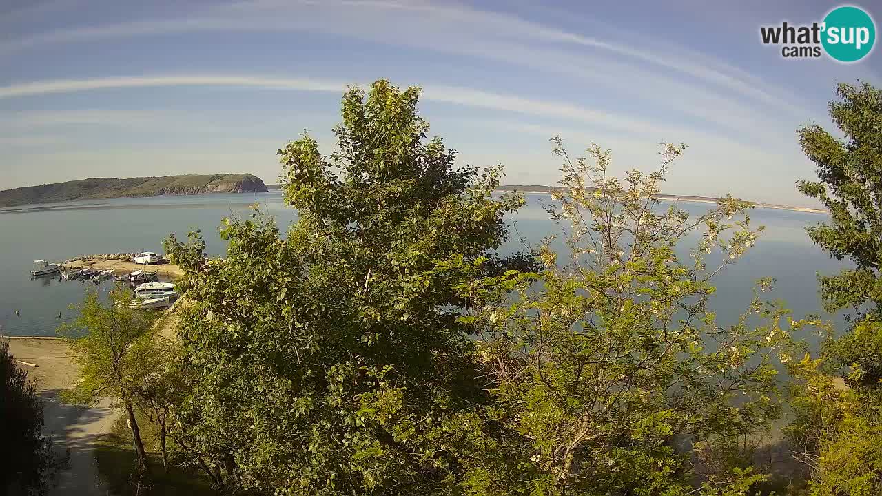 Camping Odmoree camera en vivo Ražanac – Dalmacia